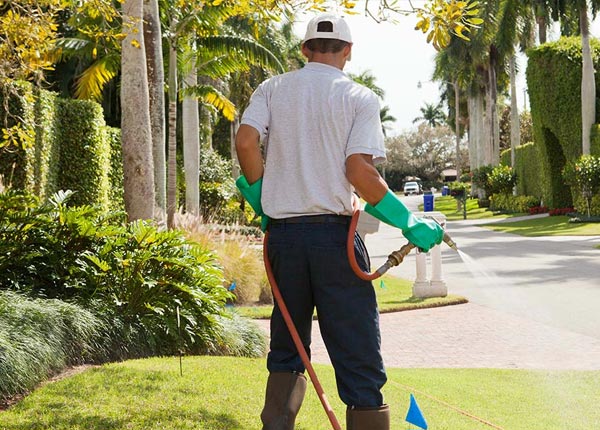 About Liberty KS Pest Control
